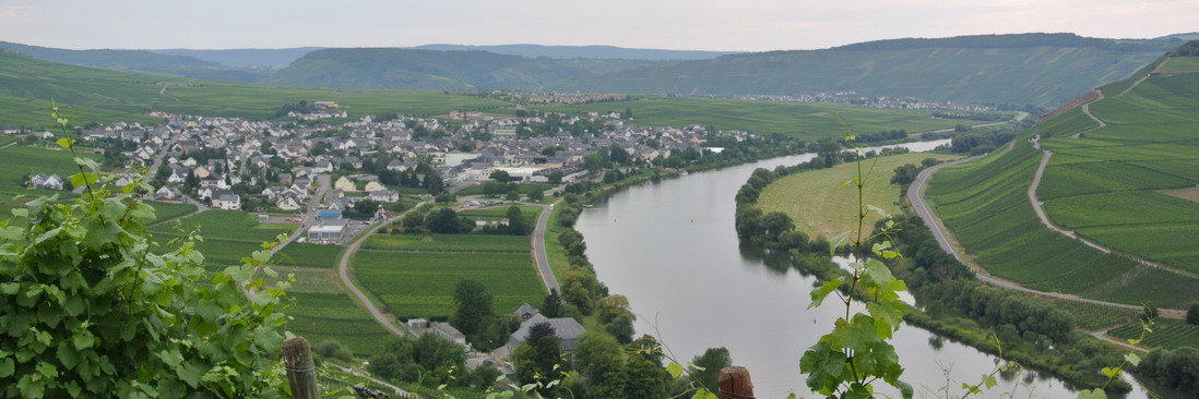 AOC Weinhandlung Köln